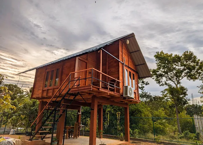 Lion Wood Treehouse