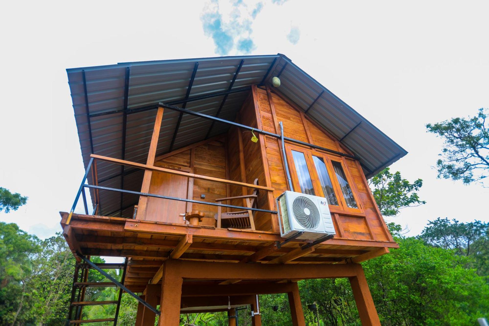 Lion Wood Treehouse Villa