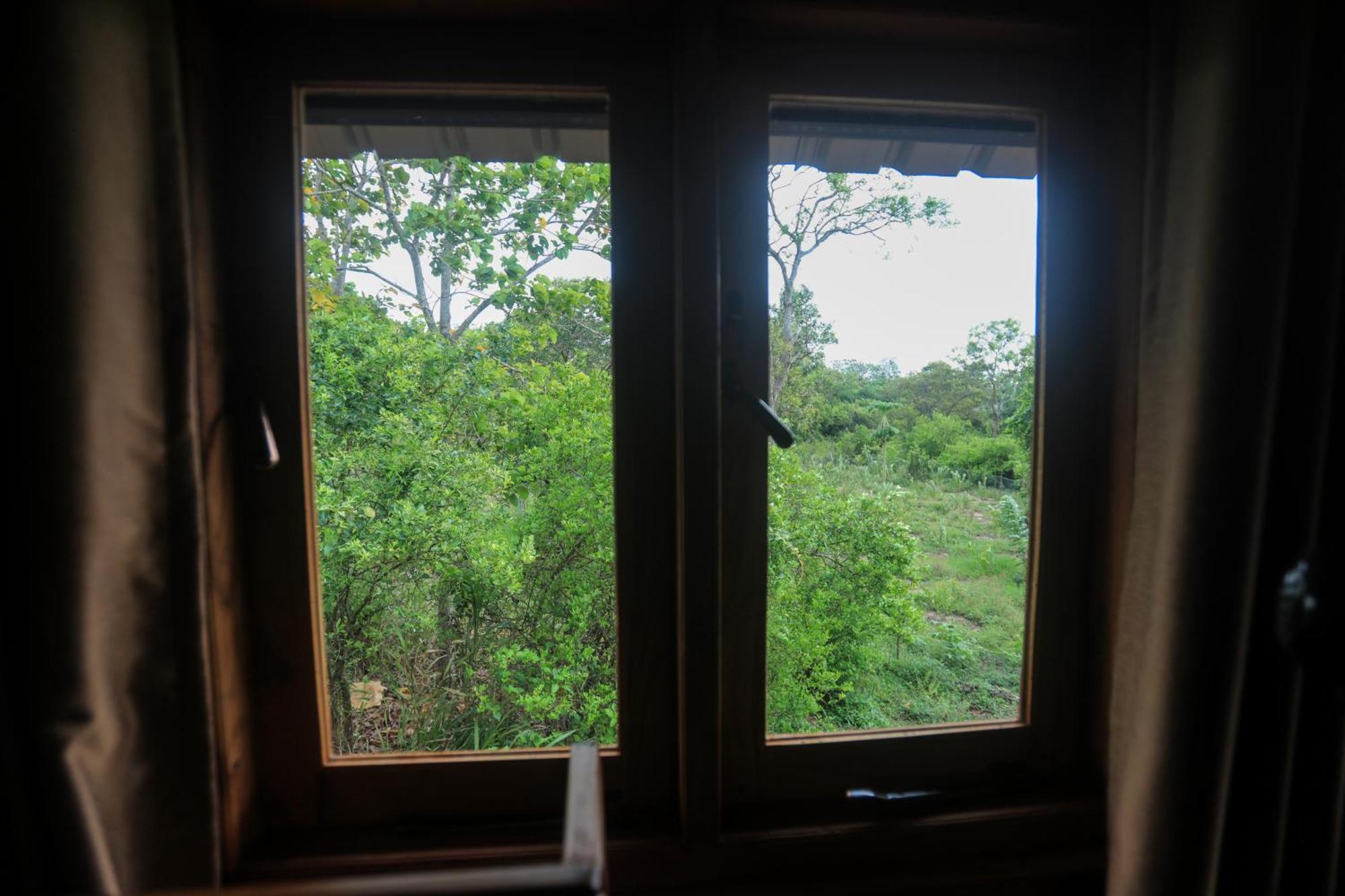 Villa Lion Wood Treehouse *