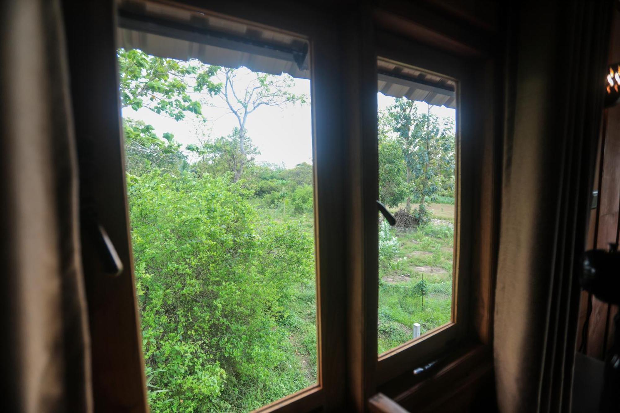 Lion Wood Treehouse *