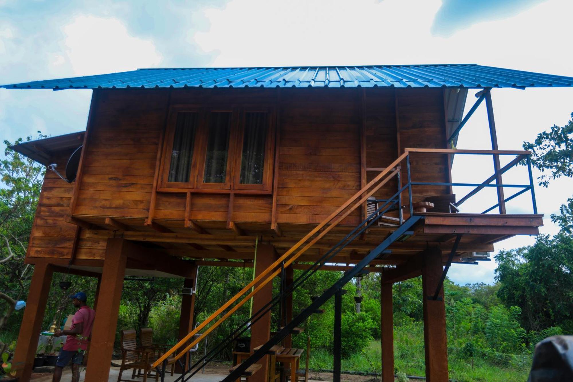 Lion Wood Treehouse Villa *