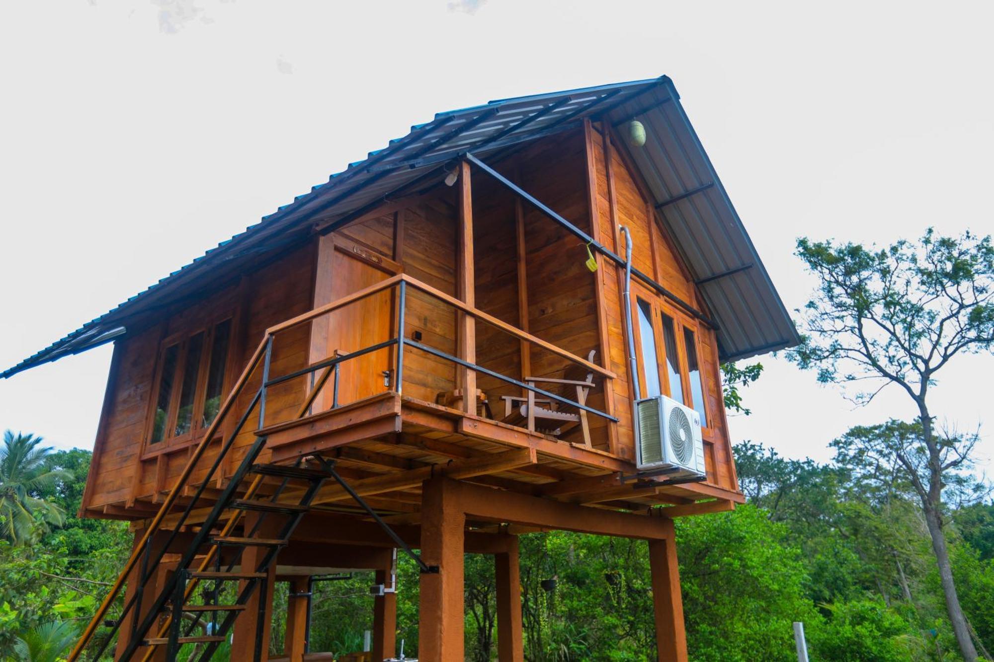 Lion Wood Treehouse