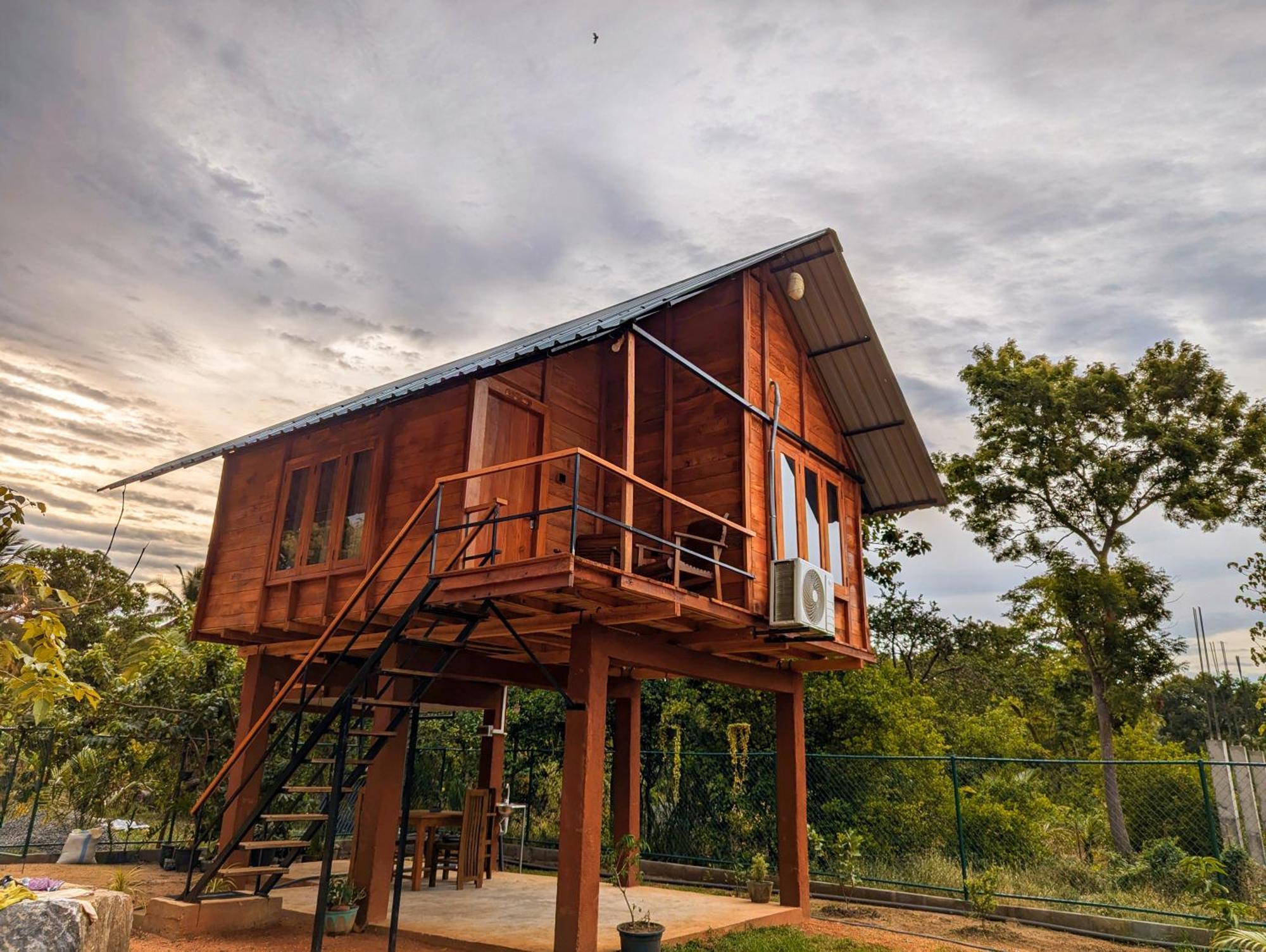 Lion Wood Treehouse