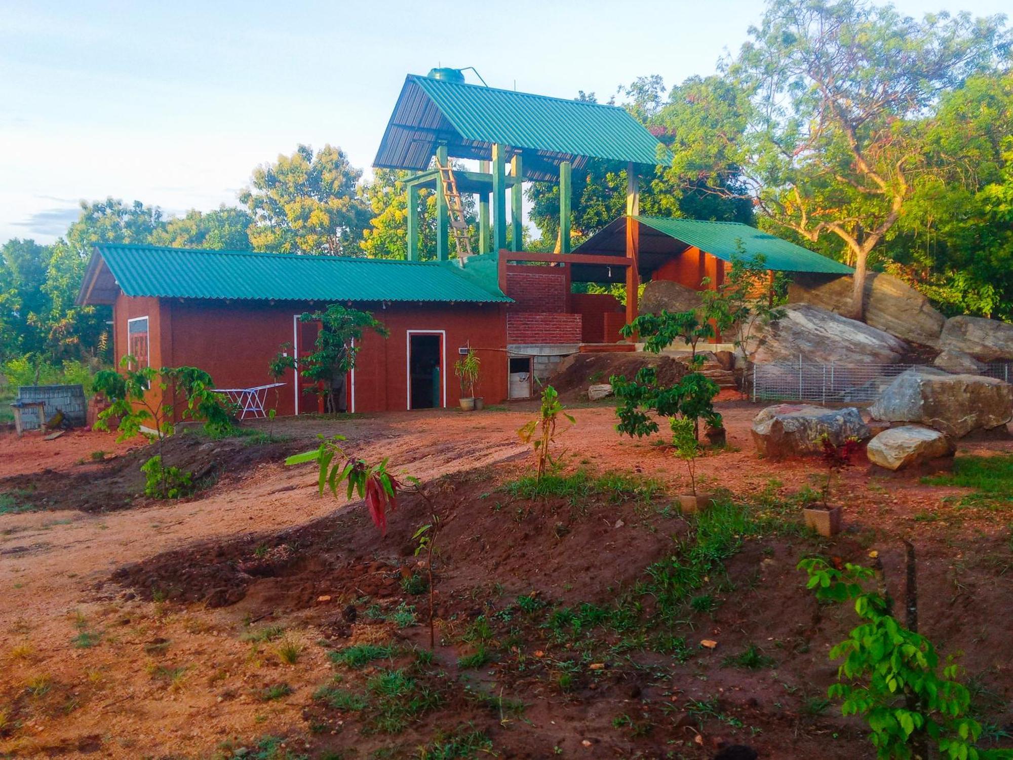 Lion Wood Treehouse Villa