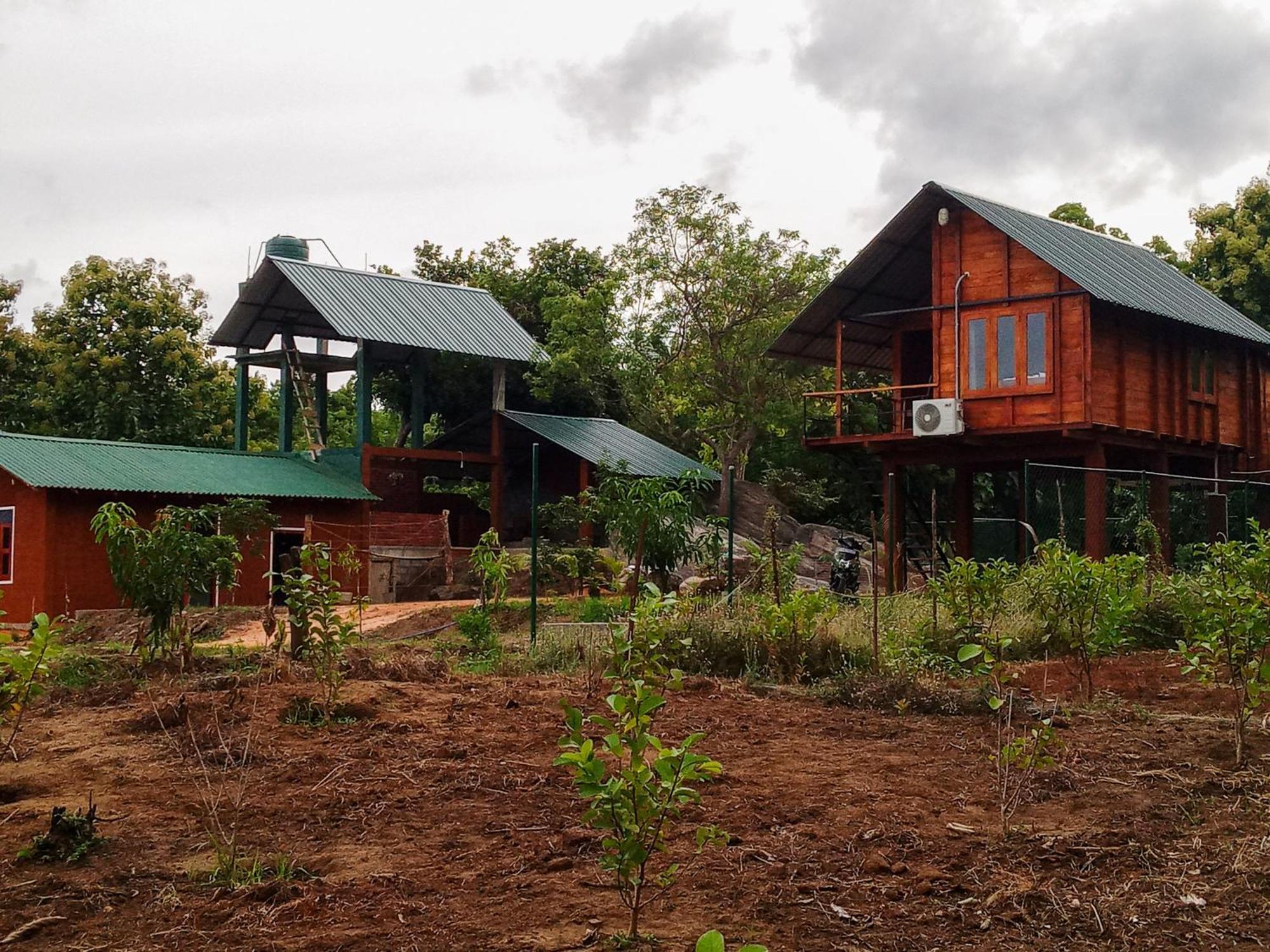 Lion Wood Treehouse *