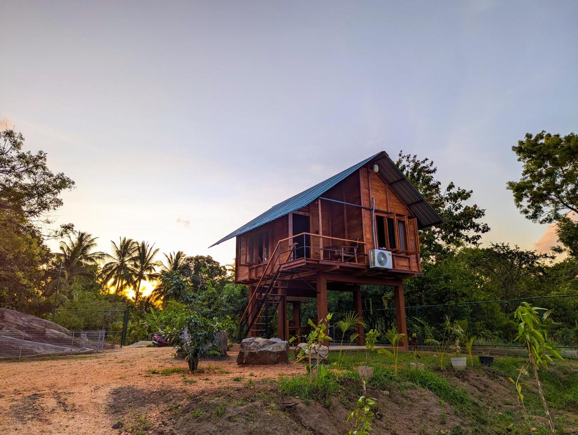 Lion Wood Treehouse