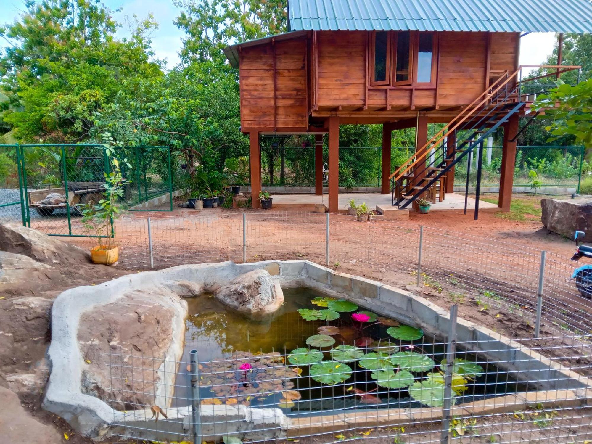 Lion Wood Treehouse Villa