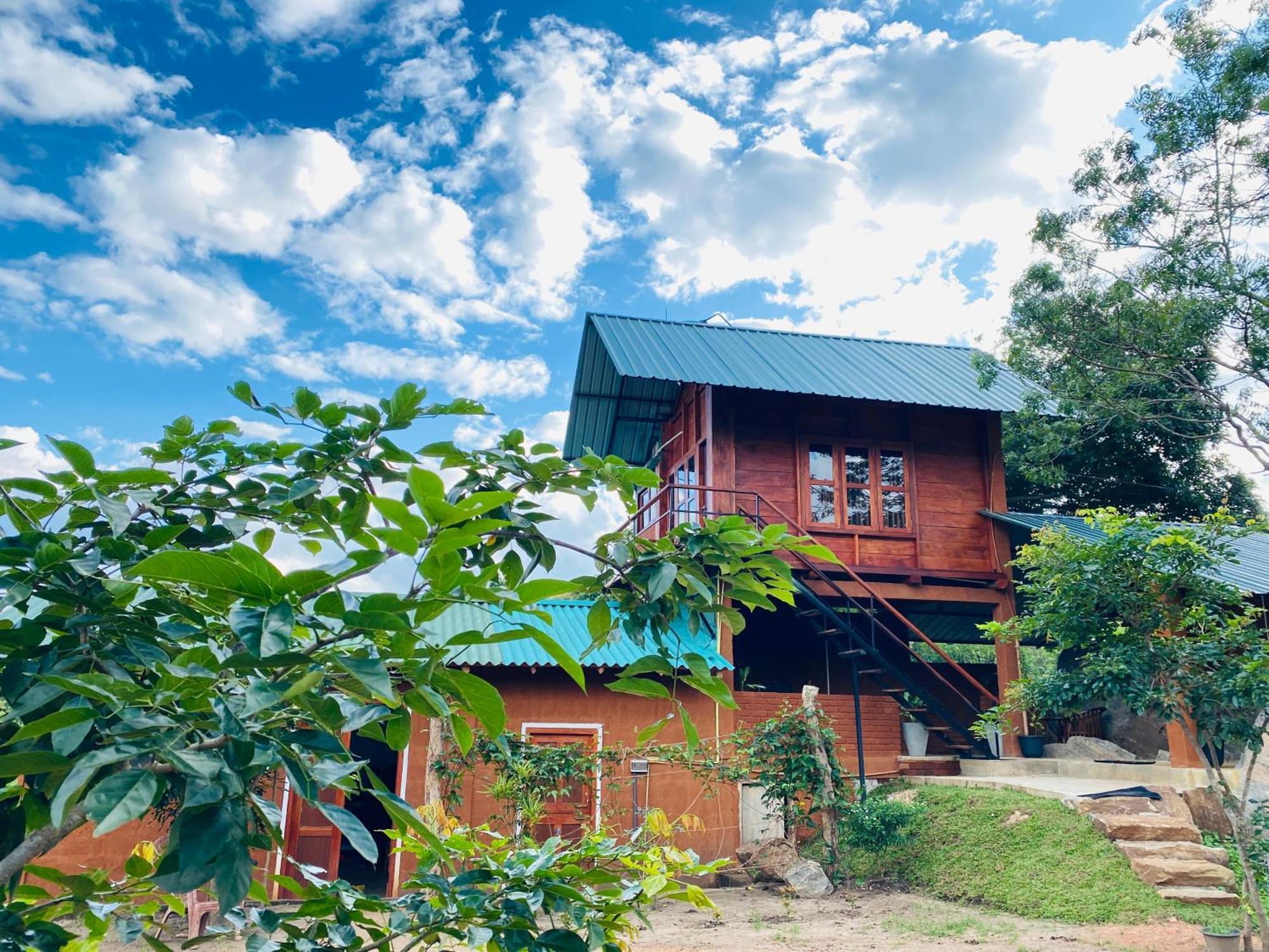 Lion Wood Treehouse