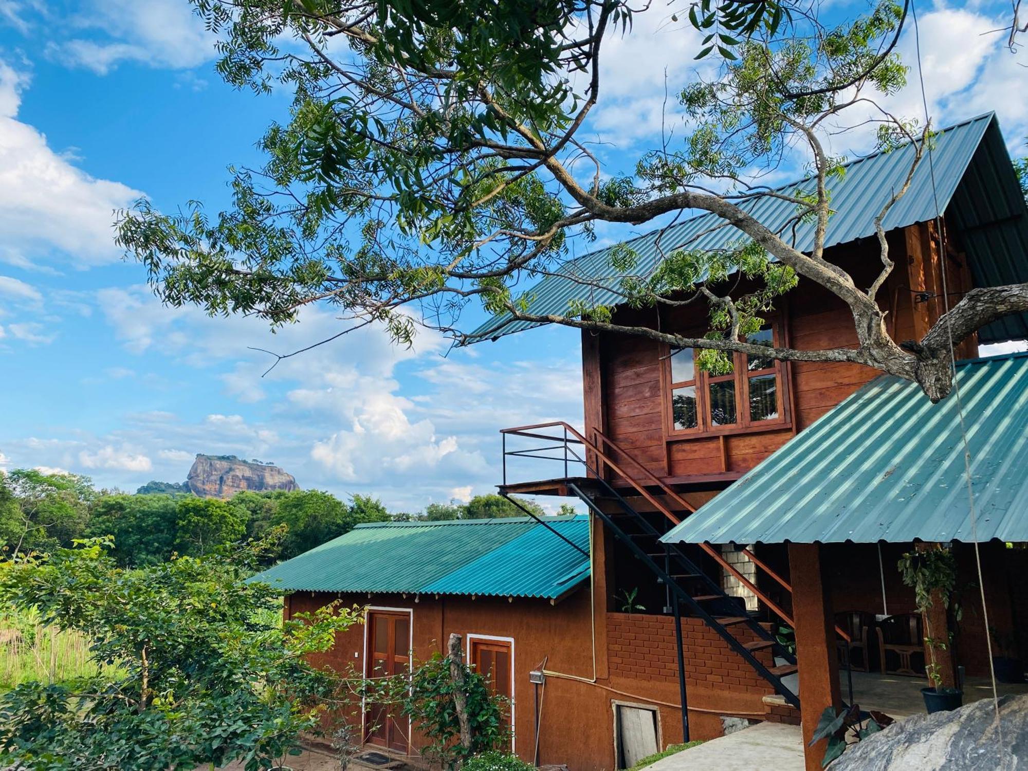Lion Wood Treehouse Talkote